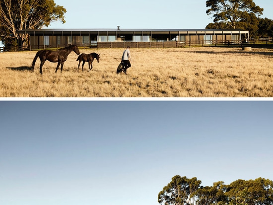 Geschwärzte hölzerne Seitenverkleidungen dieses moderne Gutshaus in ländlichem Australien