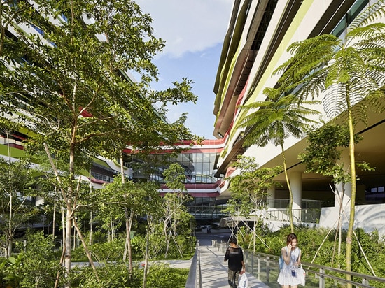 natürliche Vegetation durchdringt den Campus