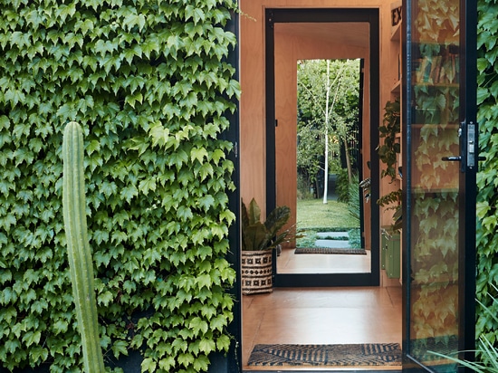 Writer's Shed ist ein kleines Gartenstudio in Melbourne, das mit Efeu bedeckt ist