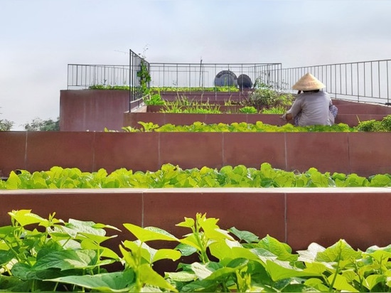 ein gestufter Garten liefert Produkte für die Bewohner des roten Dachhauses in Vietnam