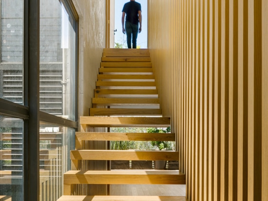 In diesem Haus in Mexiko City ist die Treppe ein Spektakel