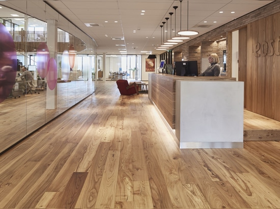 Dennebos Flooring hat den Ulmenboden für das runde Headoffice eosta entworfen