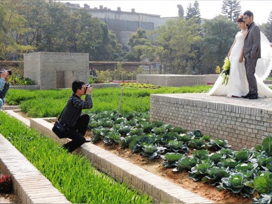 Kolossaler grüner Wert-Bauernhof blüht innerhalb einer ehemaligen Fabrik in China