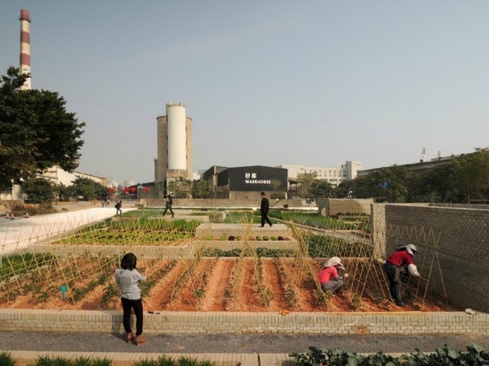 Kolossaler grüner Wert-Bauernhof blüht innerhalb einer ehemaligen Fabrik in China