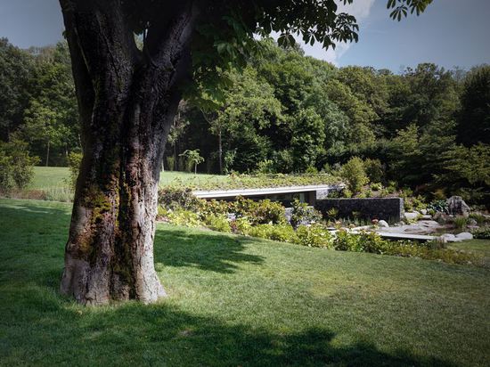 La Piscina Del Roccolo