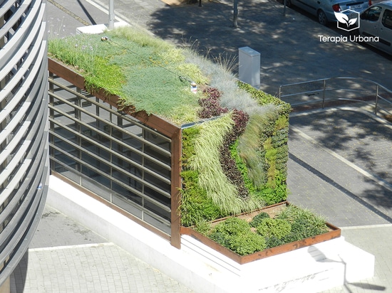 Grüne Dächer und vertikale Gärten auf der neuen Plaza de Armas in Sevilla