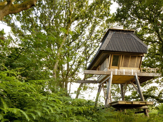 Nozomi Nakabayashi, Hütte auf Stelzen, Dorset, Vereinigtes Königreich