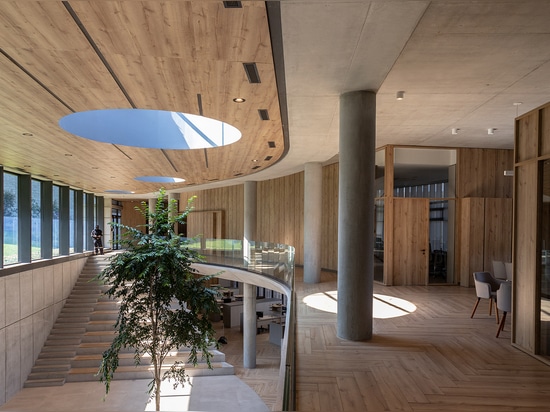 Büro Novopan / Diez + Muller Arquitectos