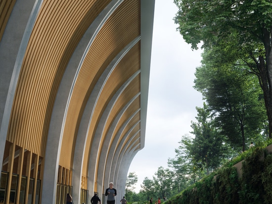 Zaha Hadid Architects schmiegt sein geplantes Stadion in Aarhus in die Wälder Dänemarks