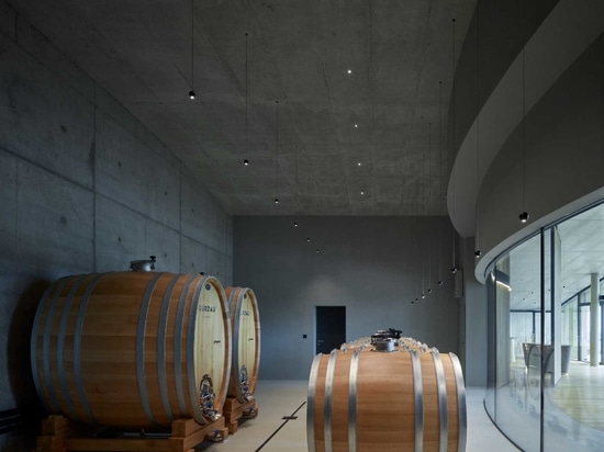 Ein geschwungenes Gründach lässt dieses Weingut in die Landschaft einfließen