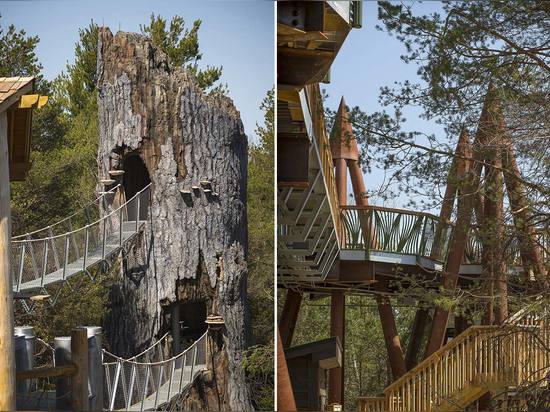 Linearscape Architektur, wilder Weg, Adirondacks, Zustand von New York