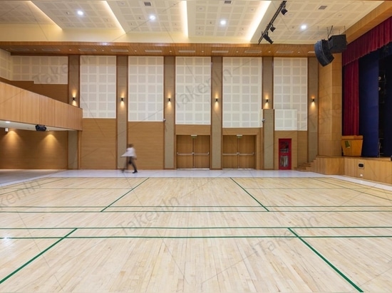 MEHRZWECKHALLE MIT SPORTKOMPLEX, DELHI PUBLIC SCHOOL, VASANT KUNJ, NEU-DELHI