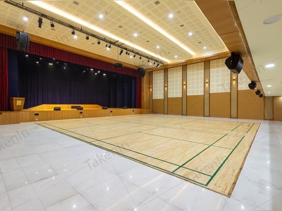 MEHRZWECKHALLE MIT SPORTKOMPLEX, DELHI PUBLIC SCHOOL, VASANT KUNJ, NEU-DELHI