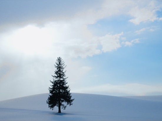 Das japanische Weihnachten ist komisch, aber die Weihnachtsbäume in Hokkaido sind wunderschön.