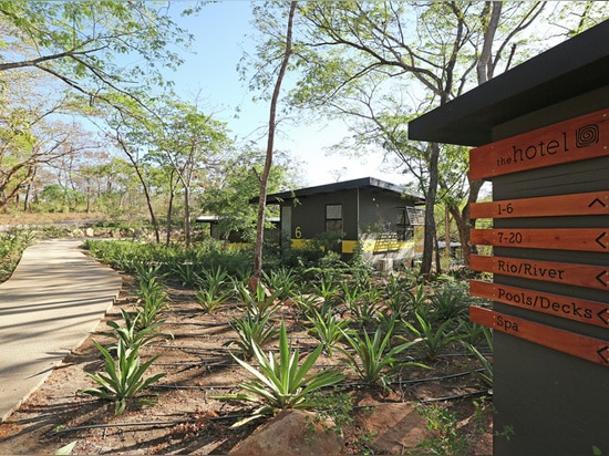 Keine Bäume wurden entfernt, um dieses Bungalow-Hotel in Costa Rica herzustellen