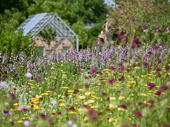 Unsere Premiumprodukte für den Natur- und Wasser-Erlebnis-Park Emscherland