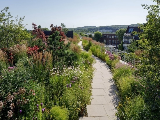 Deck Twenty One – die Düsseldorfer Arbeitsoase mit einem Gartendach von Optigrün.