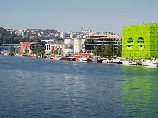 der grüne Würfel ist an den Banken des saône Flusses in Lyon