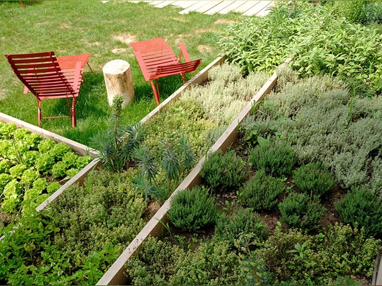 der Gemüsegarten hat einen multisensorischen Anklang, der der Nase sowie das Auge gefällt