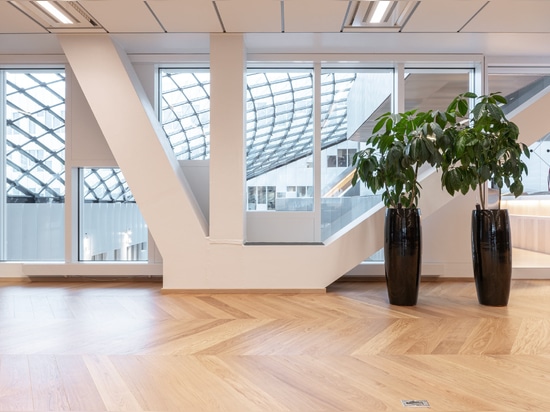 Dennebos Fußbodenbelag aus hochwertigem Chevron in der Farbe N.09