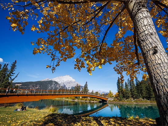 Der Holzbogen der Fußgängerbrücke von Nancy Pauw überspannt den Bow River in Kanada