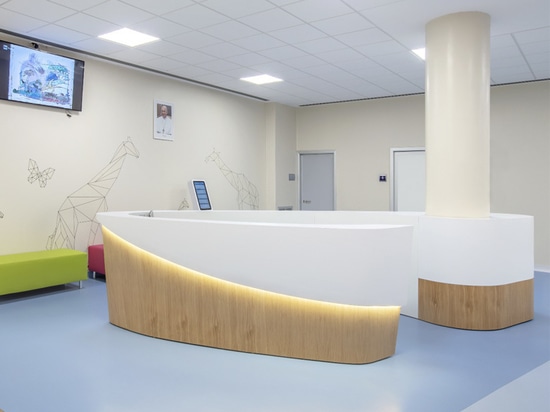 ARBEITSPLÄTZE, HOSPITALITÄT UND SPORT - Rom, Italien