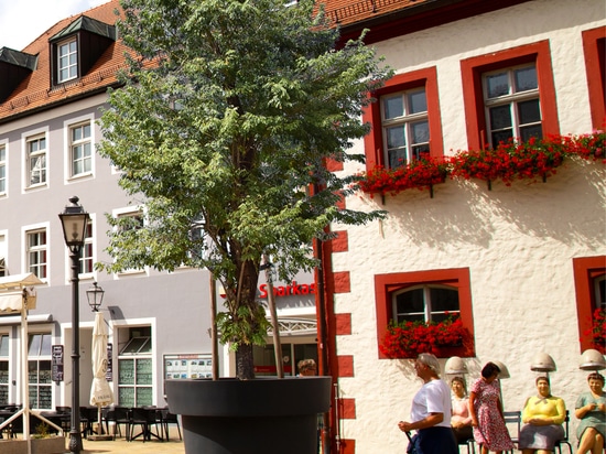 Urbane Eleganz in Monochrom: Überdimensionale Pflanzgefäße für moderne Stadtlandschaften