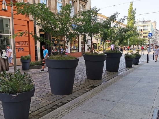 Urbane Eleganz in Monochrom: Überdimensionale Pflanzgefäße für moderne Stadtlandschaften