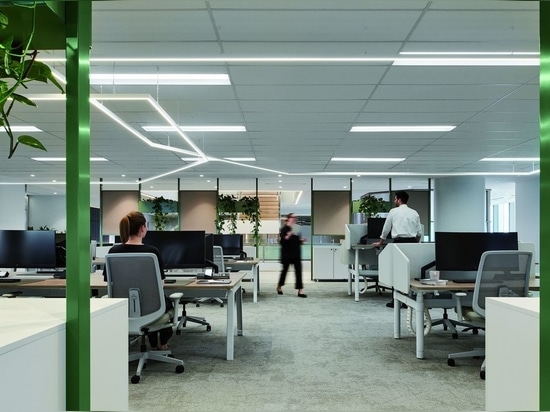 Deloitte Adelaide bei Woods Bagot