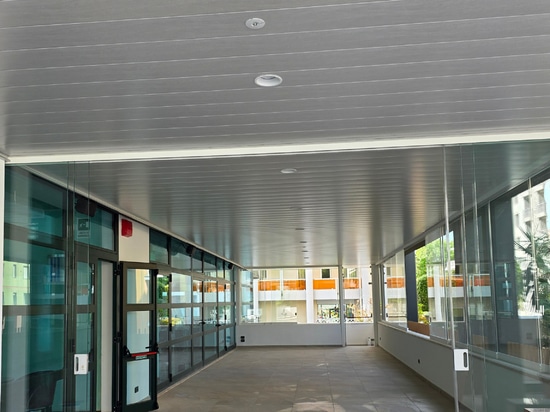 Atena Linear Dauben