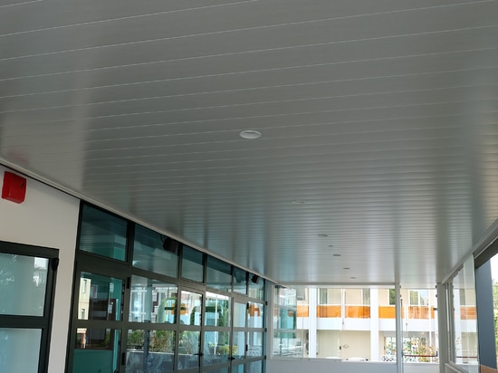 Atena Linear Dauben