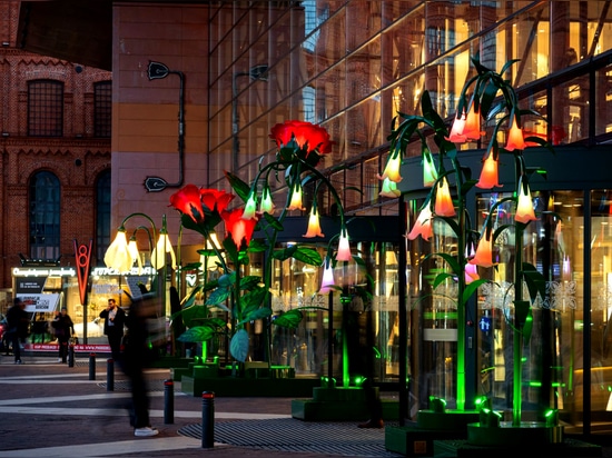Sommerstädte in Blüte und Licht: Eine neue Ära der städtischen Illuminationen