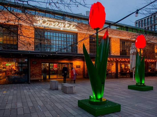 Sommerstädte in Blüte und Licht: Eine neue Ära der städtischen Illuminationen