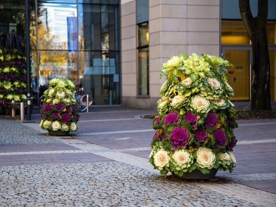 Herbsttrend: Blumentürme mit Zierkräutern bepflanzt