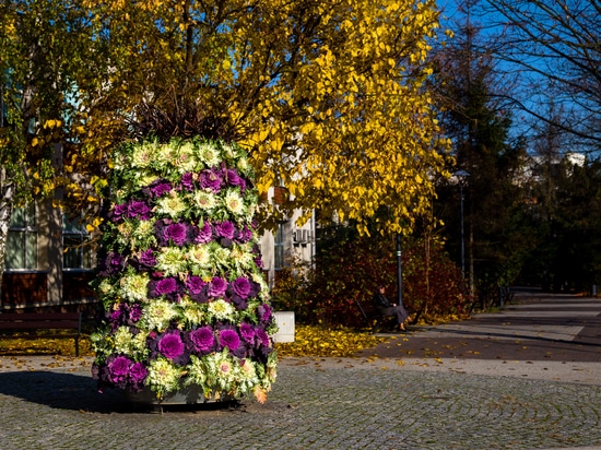 Herbsttrend: Blumentürme mit Zierkräutern bepflanzt