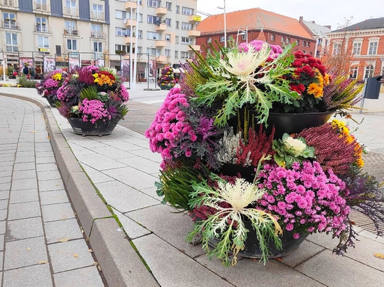Herbsttrend: Blumentürme mit Zierkräutern bepflanzt