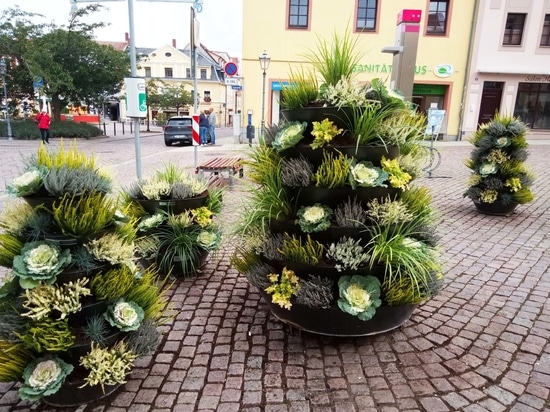 Herbsttrend: Blumentürme mit Zierkräutern bepflanzt