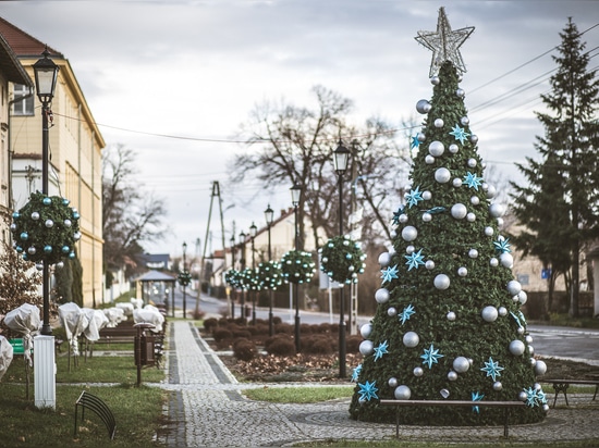 Der Weihnachtsbaum: ein Muss in den Innenstädten