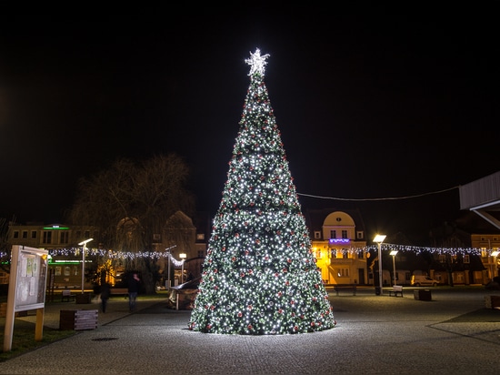 Der Weihnachtsbaum: ein Muss in den Innenstädten