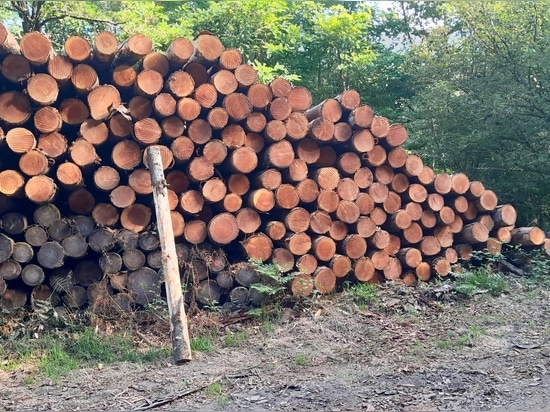 Küstenschutz und Landschaftsgestaltung: Douglas Excellence von Woodspars