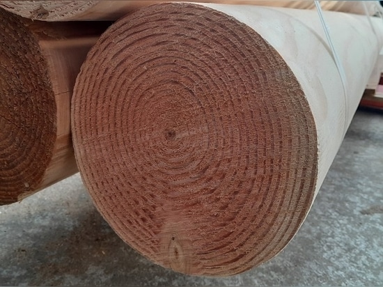 Küstenschutz und Landschaftsgestaltung: Douglas Excellence von Woodspars