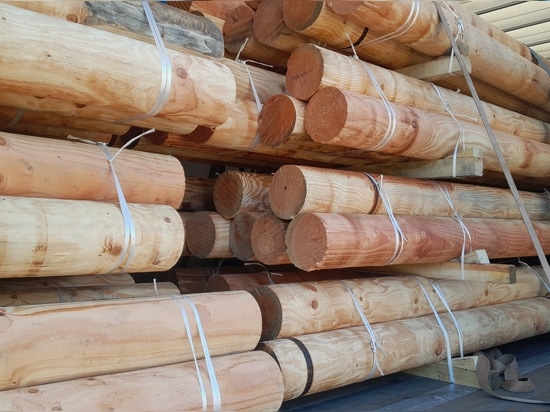 Küstenschutz und Landschaftsgestaltung: Douglas Excellence von Woodspars