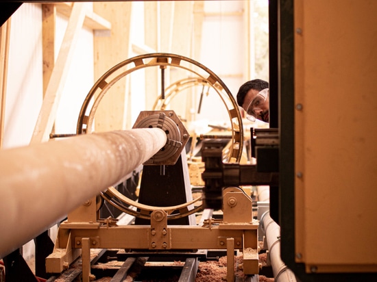 Küstenschutz und Landschaftsgestaltung: Douglas Excellence von Woodspars