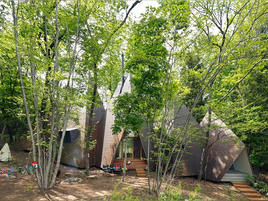 HAAR-Architekten legt nasu Tee-peewohnsitz in das japanische Waldland