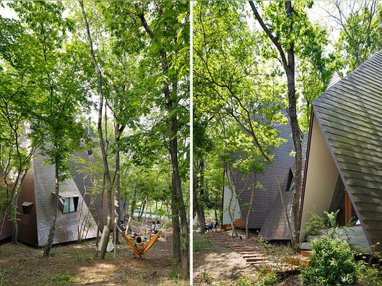 HAAR-Architekten legt nasu Tee-peewohnsitz in das japanische Waldland