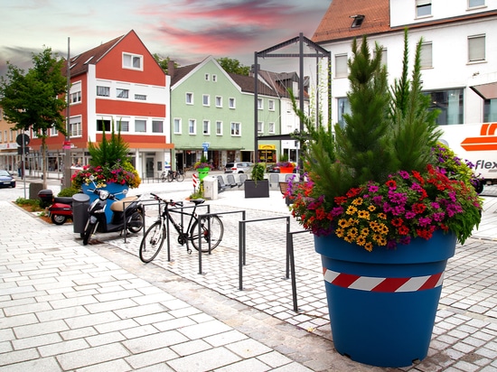 Wie unterstützen Stadtpflanzen die Sicherheit im öffentlichen Raum?