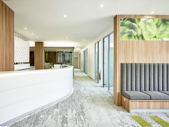 Ein maßgeschneidertes Empfangstresen-Design für eine Gesundheitseinrichtung