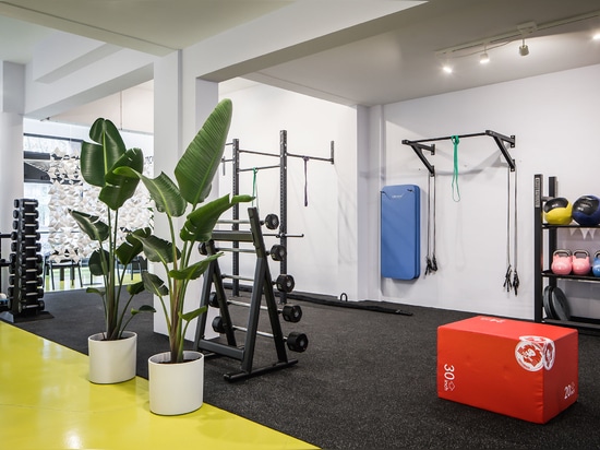 Maßgefertigte Raumteiler von Bloomming für Workoutclub Rotterdam