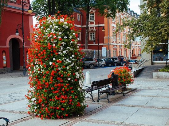 Emotionales Design im öffentlichen Raum: Gestaltung der alltäglichen Stadterfahrung