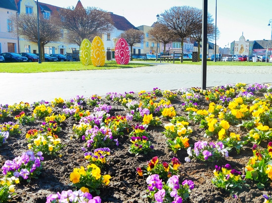 Frühlingsarrangements im öffentlichen Raum: Farbe, Helligkeit und Struktur